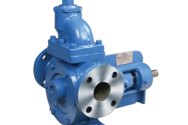 shuttle block pump manufacturers in India – Delta PD Pumps flanged design
